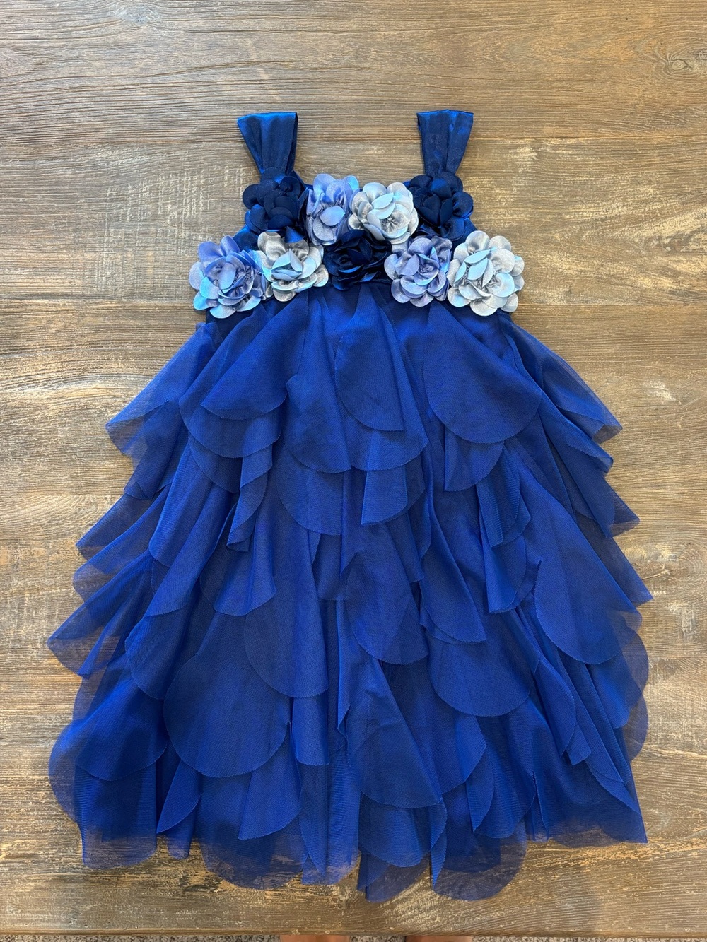 Biscotti Floral Tulle Dress - Size 5